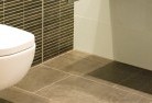Point Mcleaytoilet-repairs-and-replacements-5.jpg; ?>